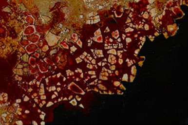 Traditional vietnamese painting